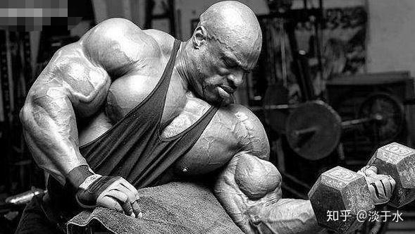 健身如何选择运动补剂，蛋白粉、肌酸、氮泵用哪个，权威机构issn运动补剂指南？