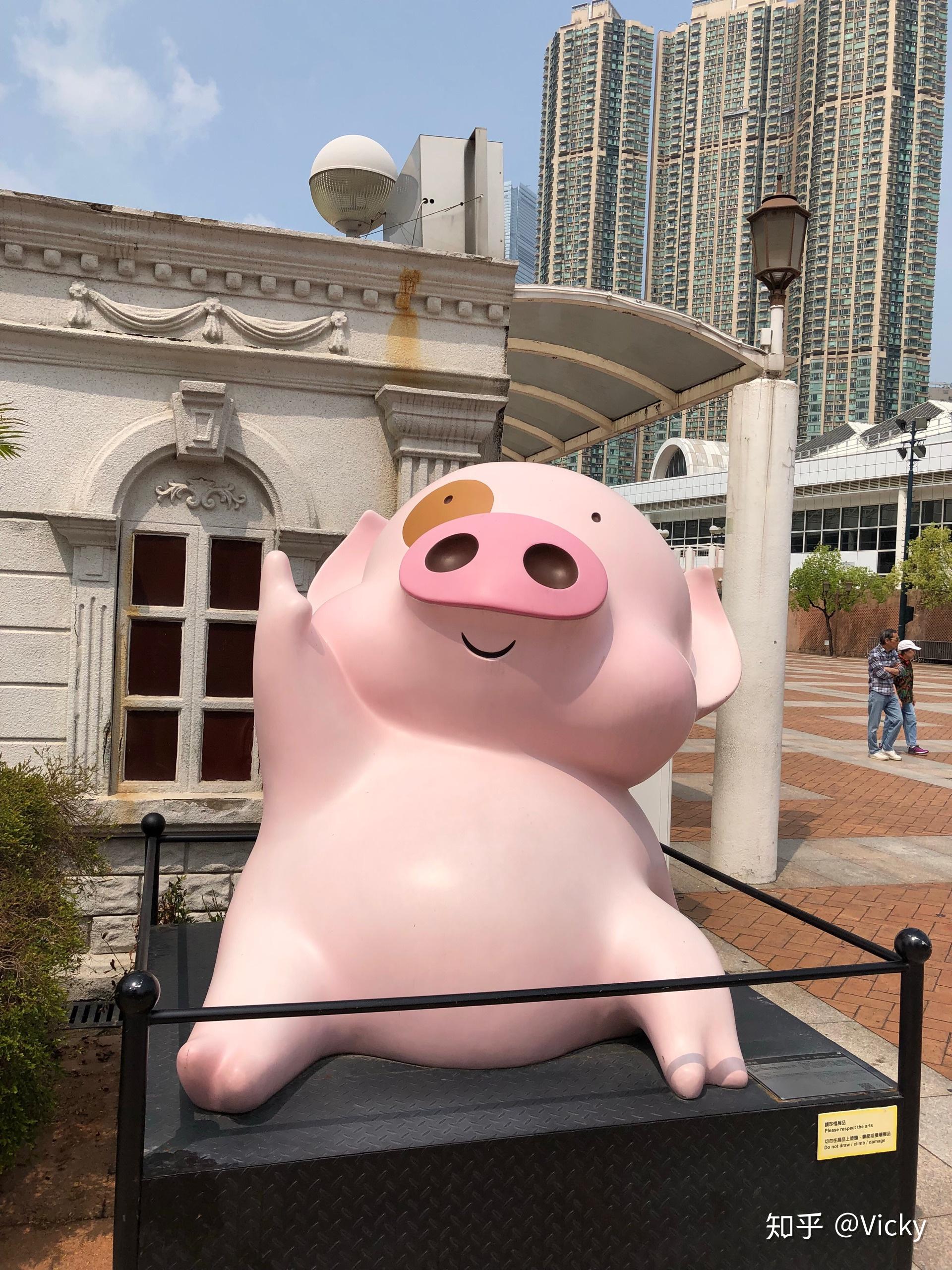 与猪游香港2018328201841