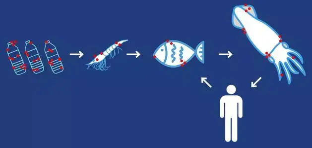 塑料进入人体你知道会有哪些伤害吗