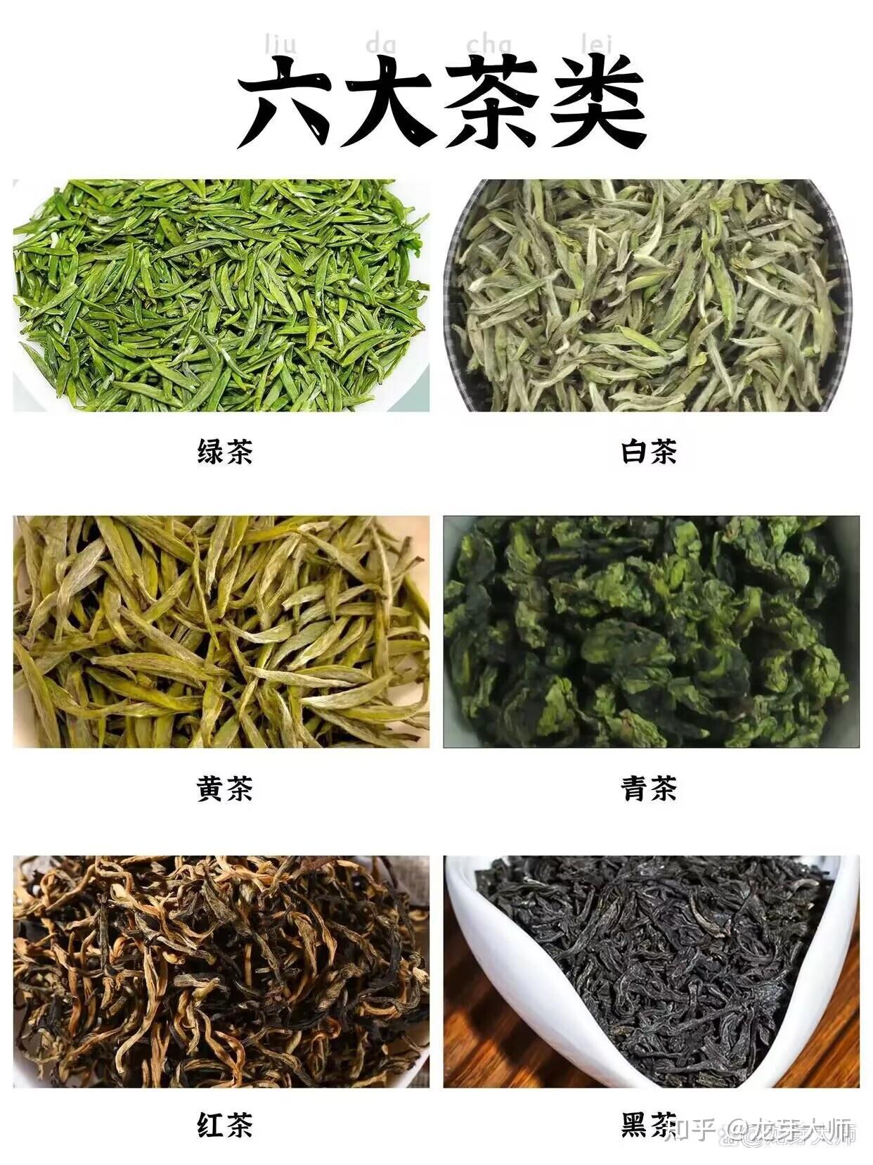 六大茶类中的代表名茶都有哪些?这些名茶,你都喝过哪些? - 知乎