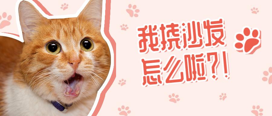 v2-ebdb36bc7427d8c6a31479729adad3e0_1440w.jpg?source=172ae18b