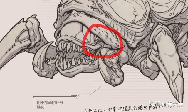 虫族爆虫图片