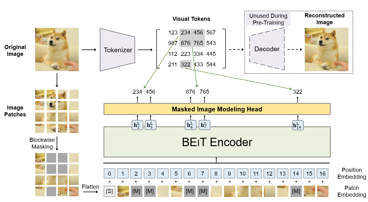 【论文精读】BEIT：Pre-Training of Image Transformer - 知乎