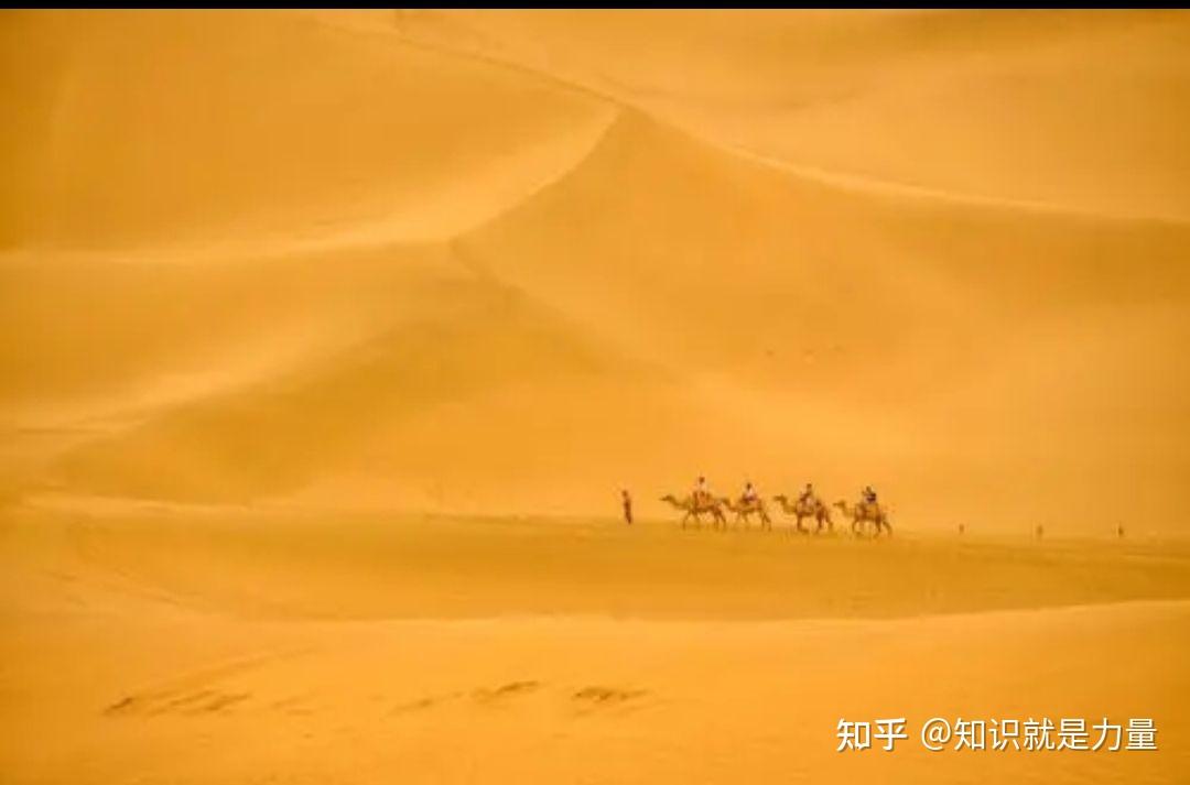 大漠黄沙电视剧图片
