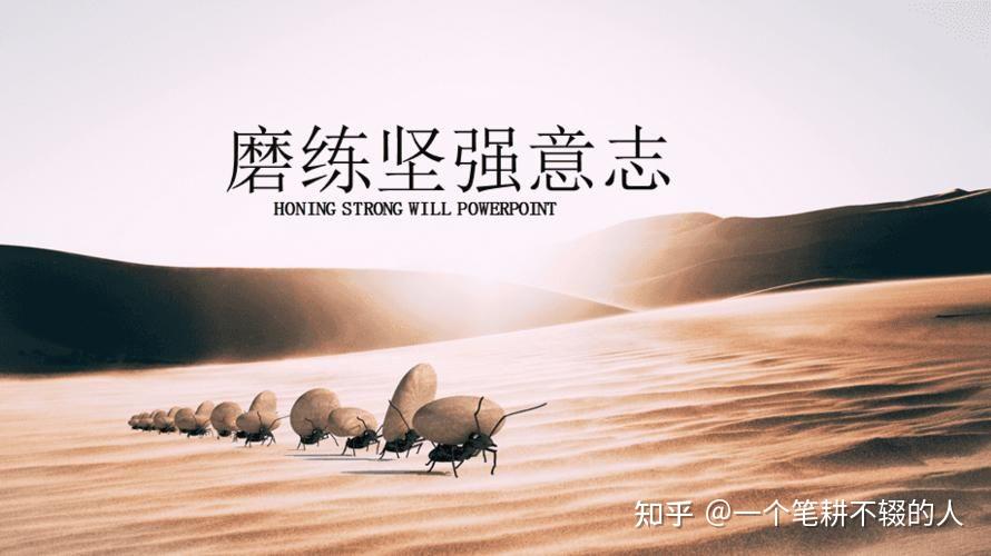 真正的坚强不在表面!中考作文《强与坚强不一样》 - 知乎