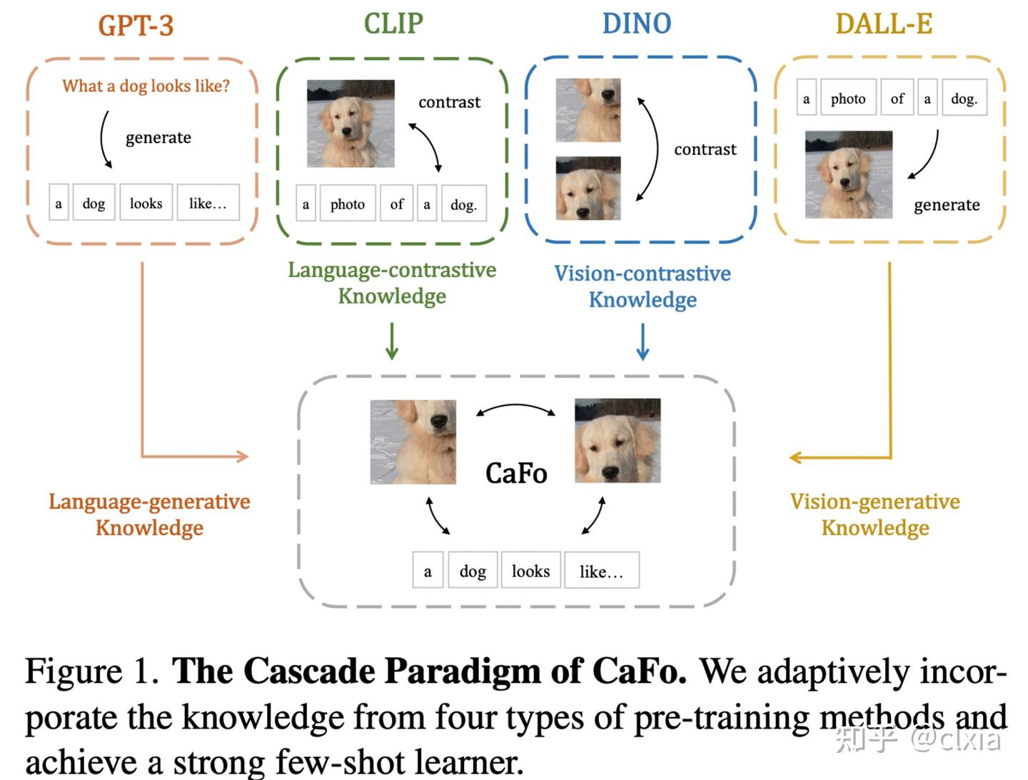 CaFo - 知乎
