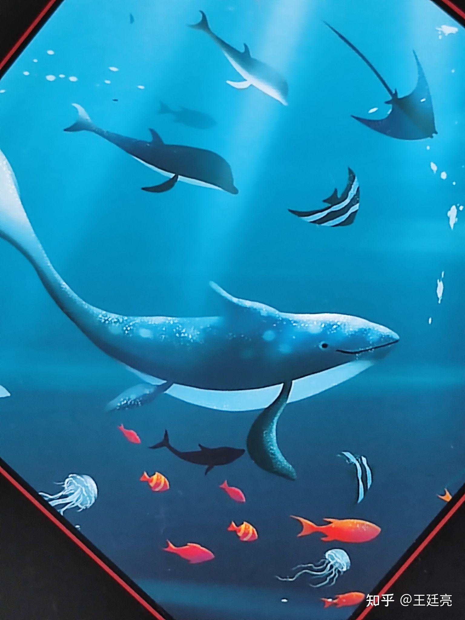 海底两万里读后思考