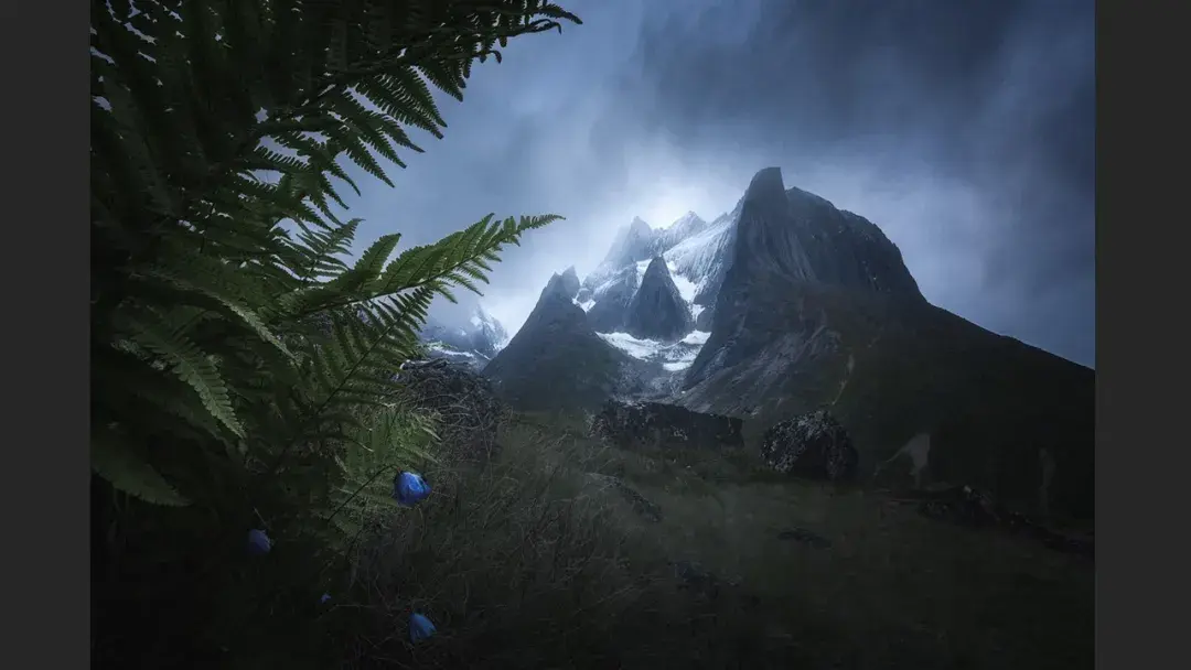 为什么摄影大神们都喜欢用暗调?