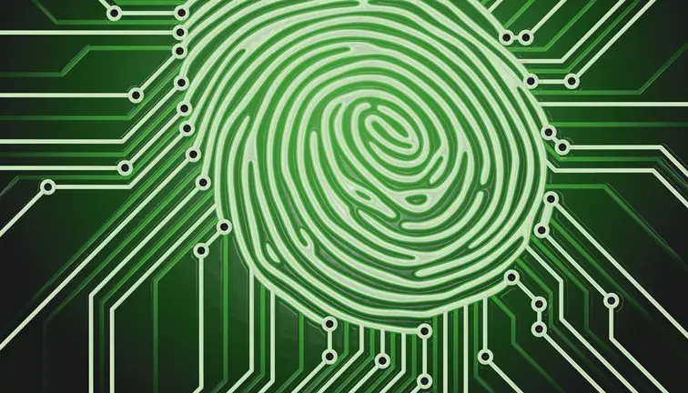 图7 电路板不用的空间腐蚀出蒙娜丽莎▲ 图6大脑pcb电路板▲ 图5