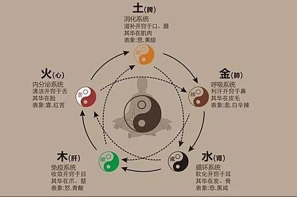 阳气不足也会导致“九窍”不通——扶阳法如何“通窍” - 知乎