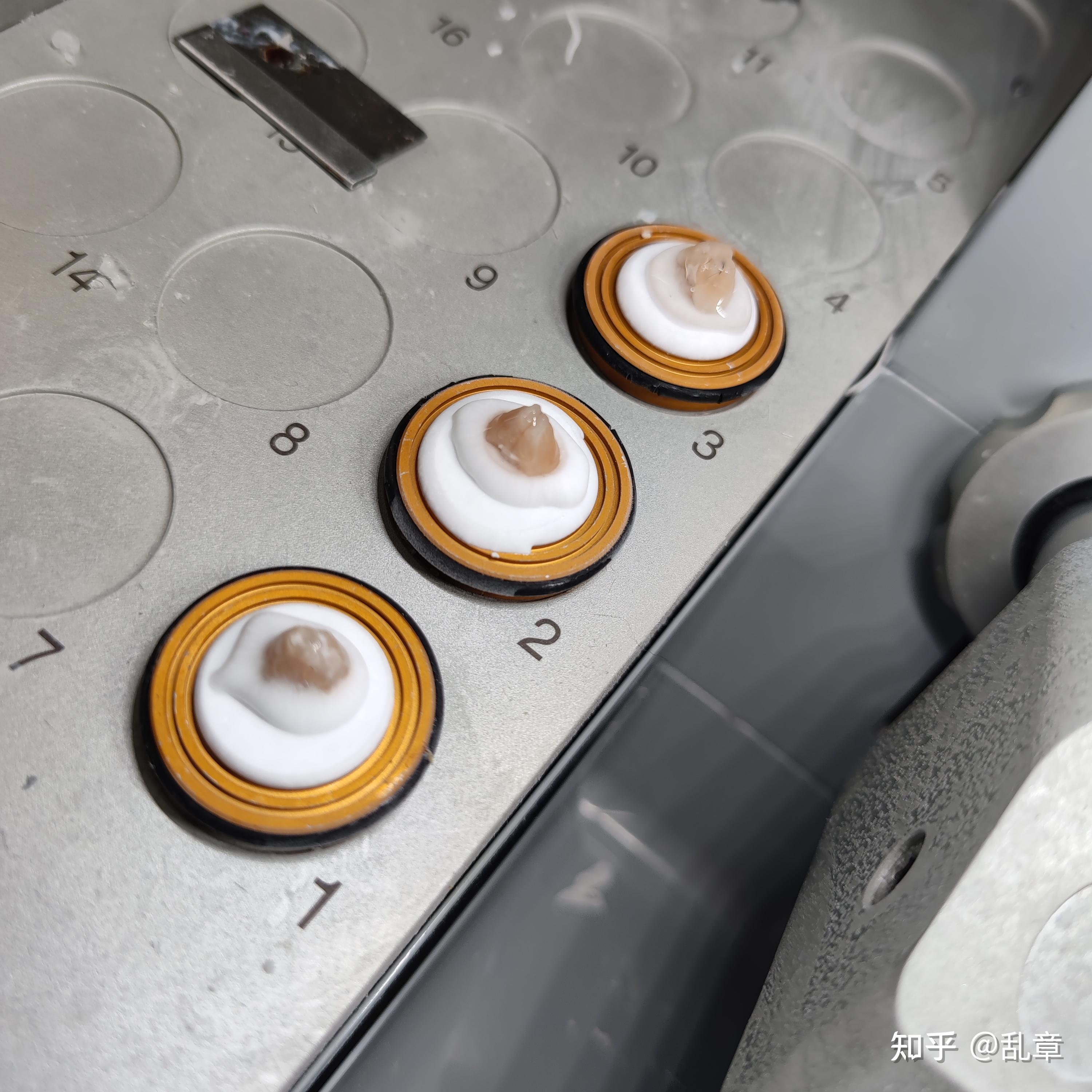 可不是直接拿刀就切吼,一是固定后的脑组织并不是多硬,二是切片讲究