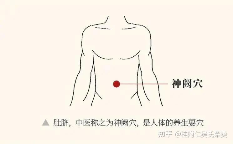 神阙穴——脐敷法治疗高血压 - 知乎