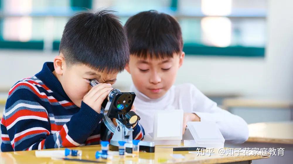天才与恶魔一线之隔——唯成绩论真的好吗? - 知乎
