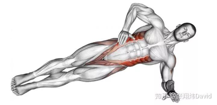 先测试髋内外旋角度,再进行侧桥训练2组,最后再次测试髋内外旋的角度