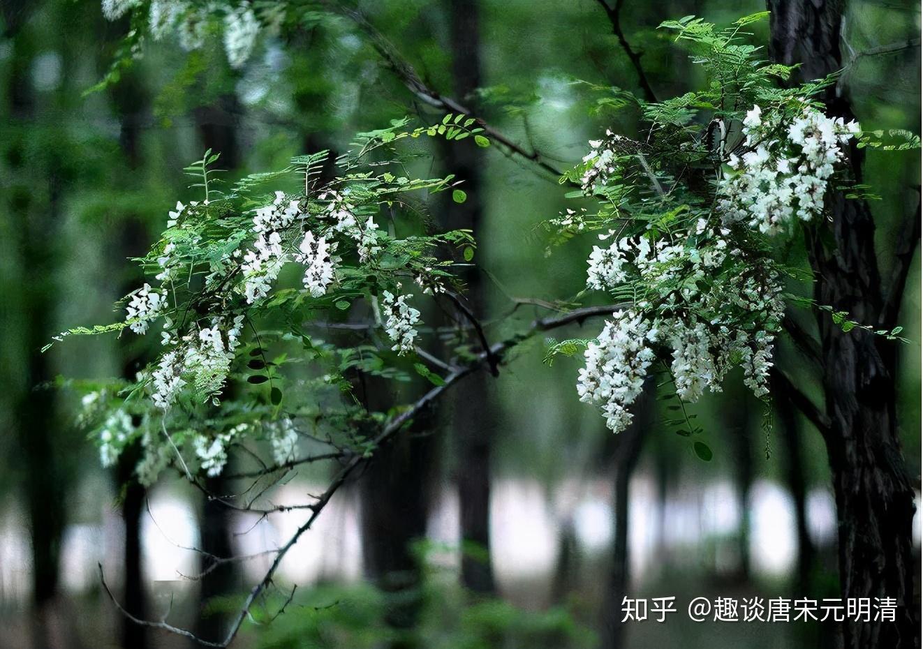 v2-ec57b26533f91a66ecf9208b09cbfc0e_r.jpg