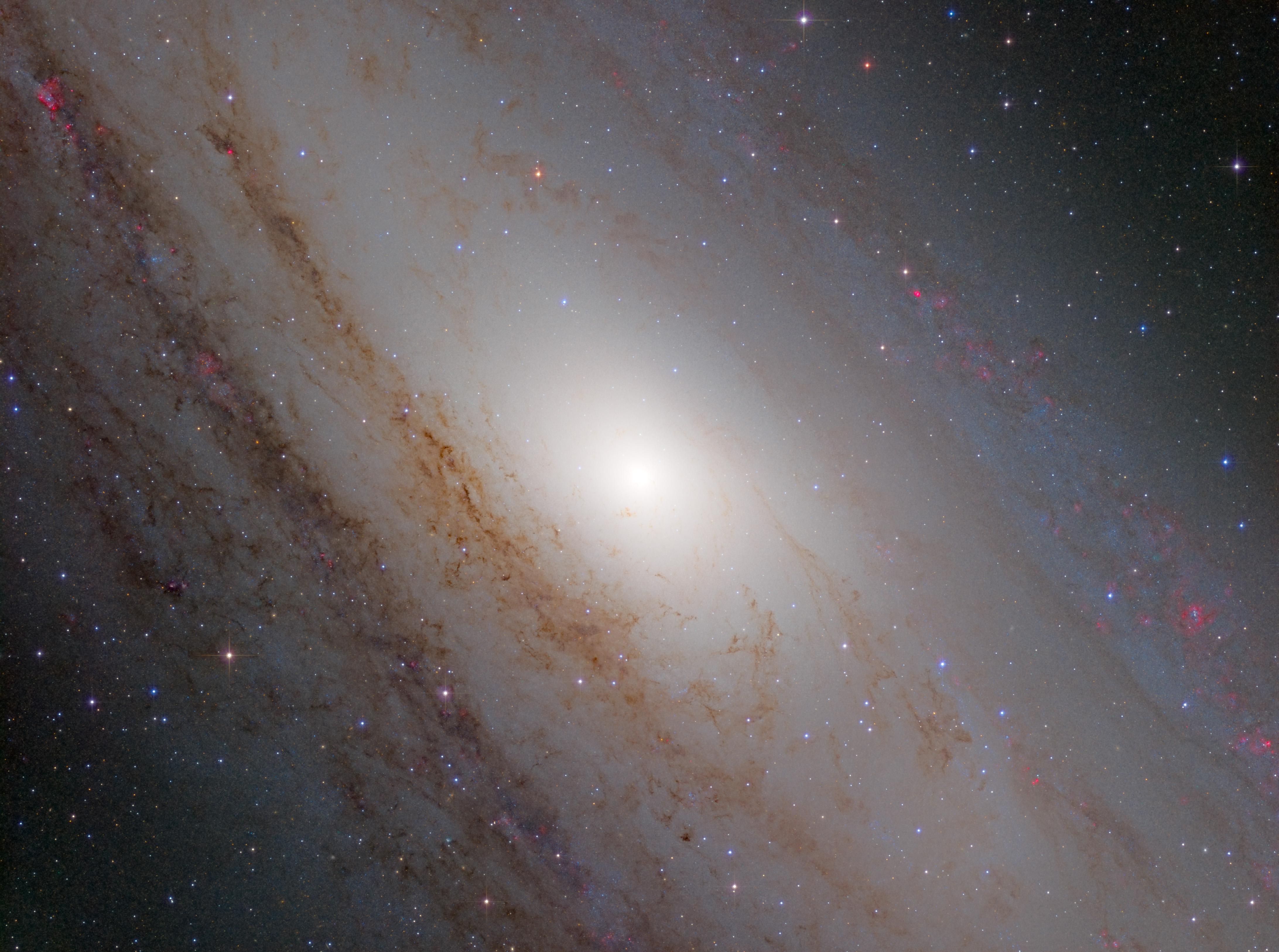 拿铁望远镜m31新星搜寻活动