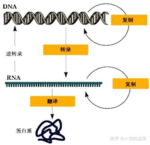 v2-ec63dea9ef6af46f0a7e1e0d32addbb2_r.jpg