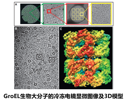 冷冻电镜的基本原理与应用 - 知乎