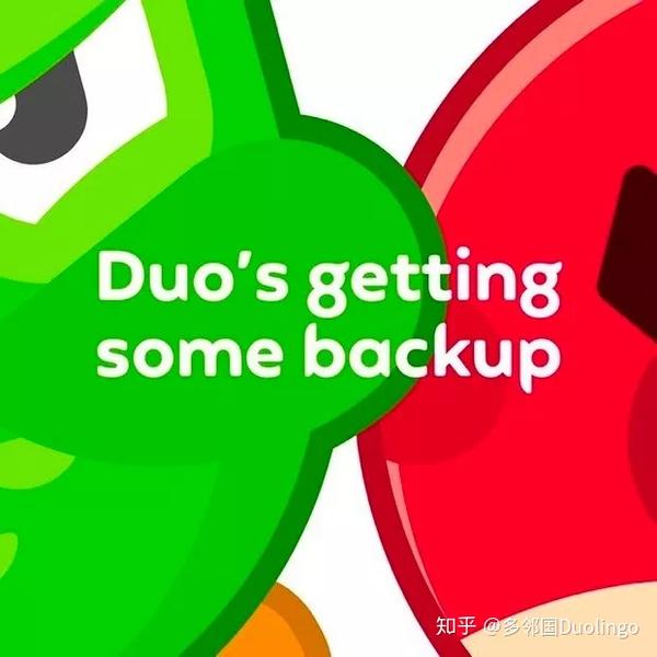 愤怒的小鸟多邻国来认识下多儿的新搭档吧