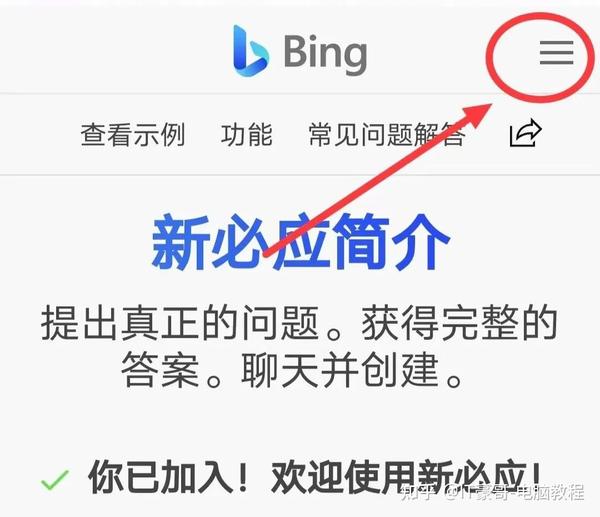  bing bing ai 