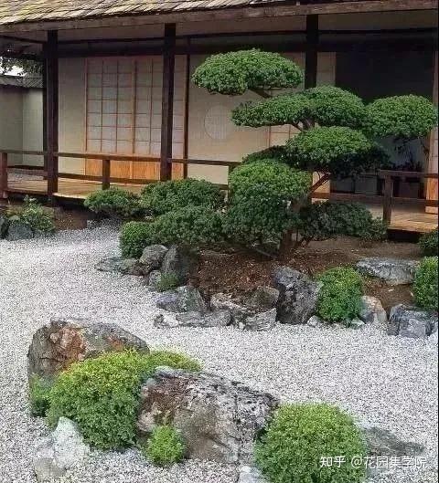 日式庭院该配什么植物？怎么配？看这里~ - 知乎