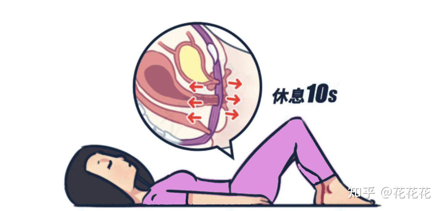 盆底肌修复 zhuanlan.zhihu.com