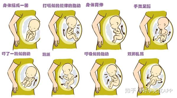 怀孕时期胎动次数多少才是正确的？ - 知乎