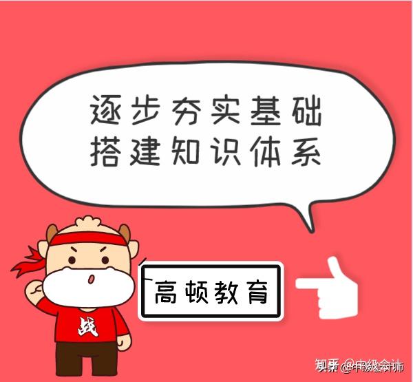 逐步夯实基础,搭建知识体系