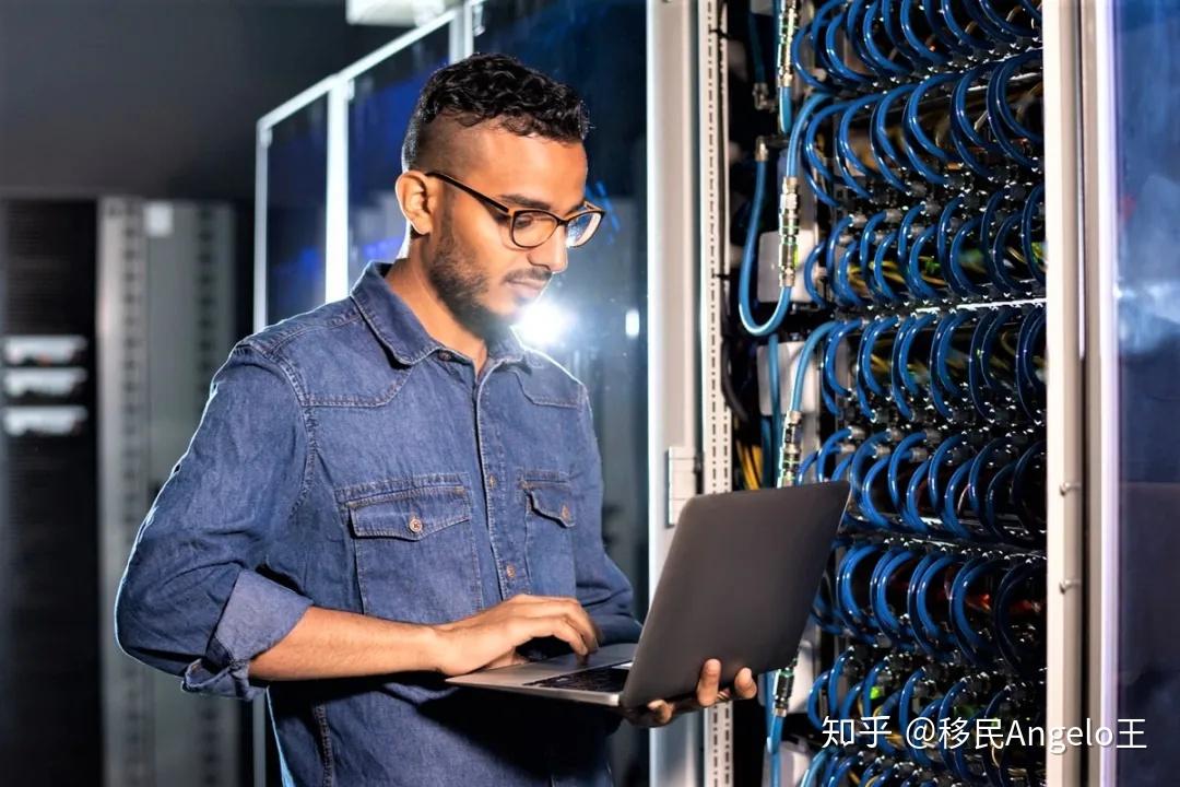 it人员如何选择移民项目?