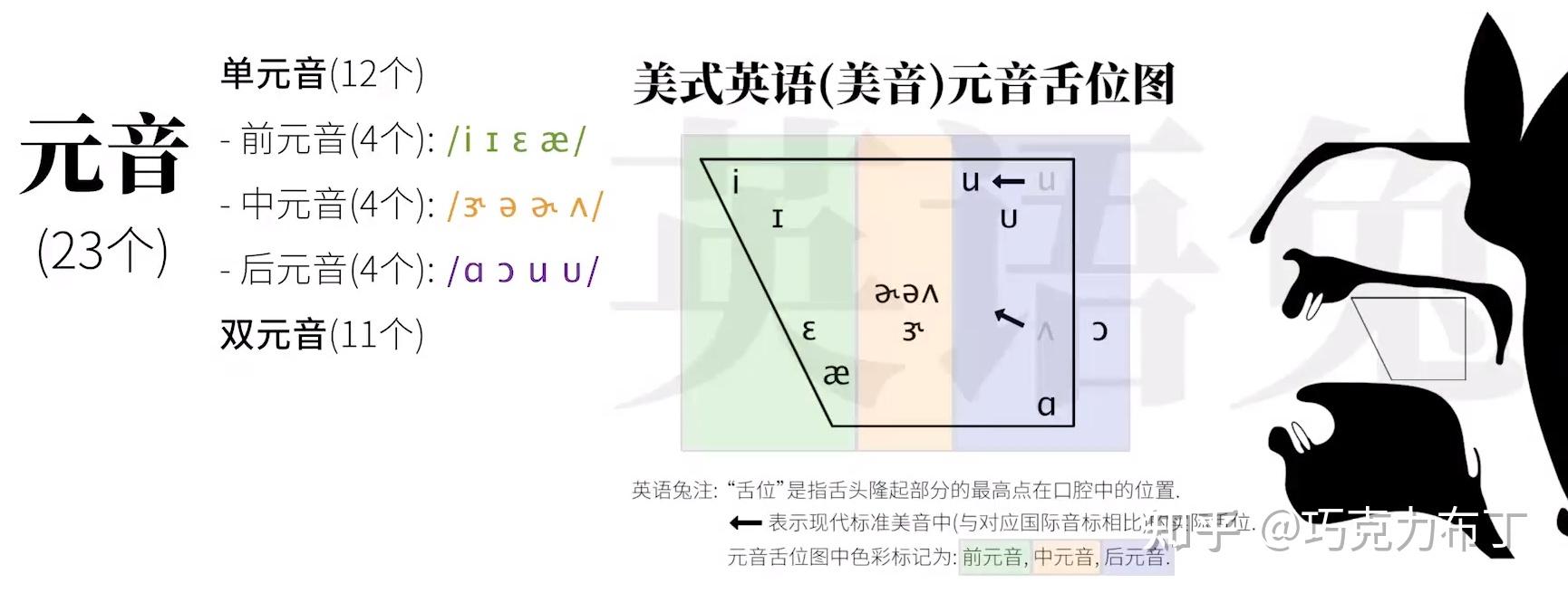 【英语发音】kk音标