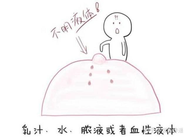 v2-eca7724c476ae041f130d8807b3bef5a_r.jpg