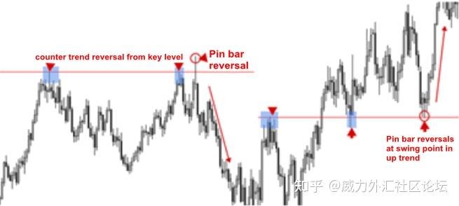 [Price Action] 价格行为 - 知乎