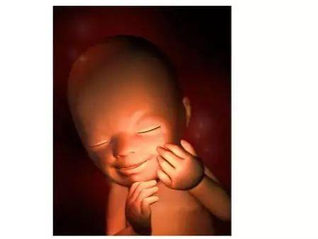 1 40周胎儿发育全过程 3d图 知乎