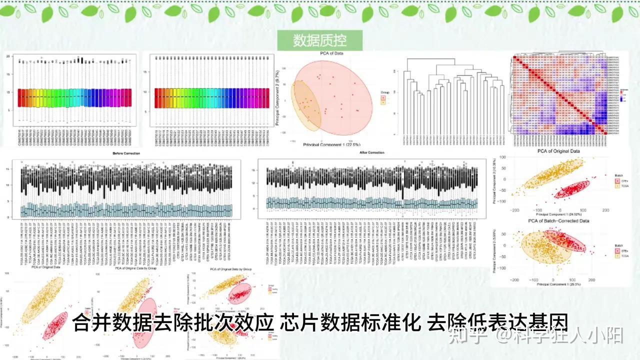 生信研究流程详解:从数据下载到机制闭环 - 知乎