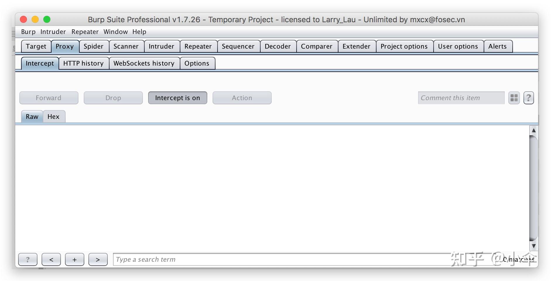Burpsuite professional 