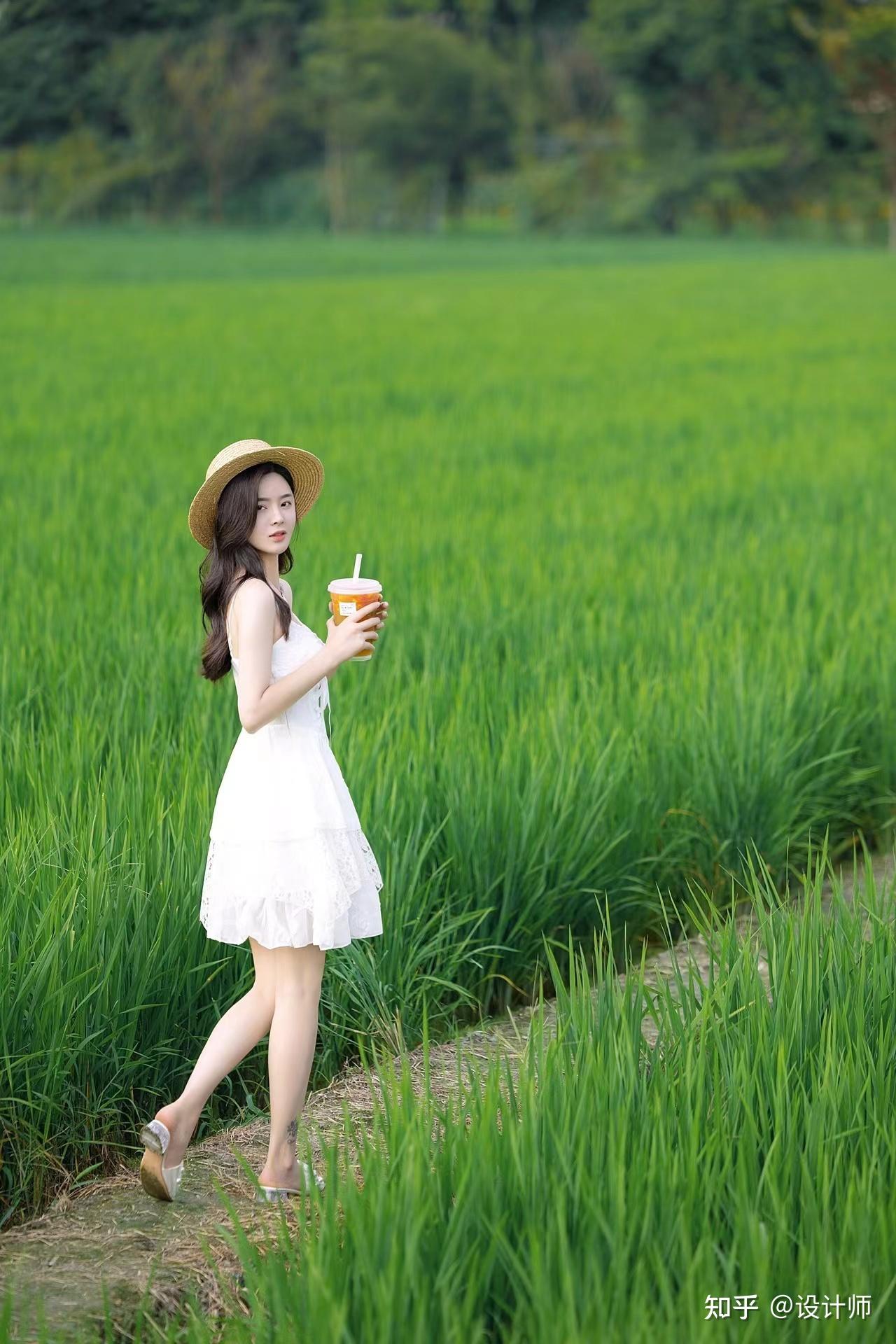 拍摄稻田人像有技巧送你一份拍摄攻略唯美文艺很有范儿