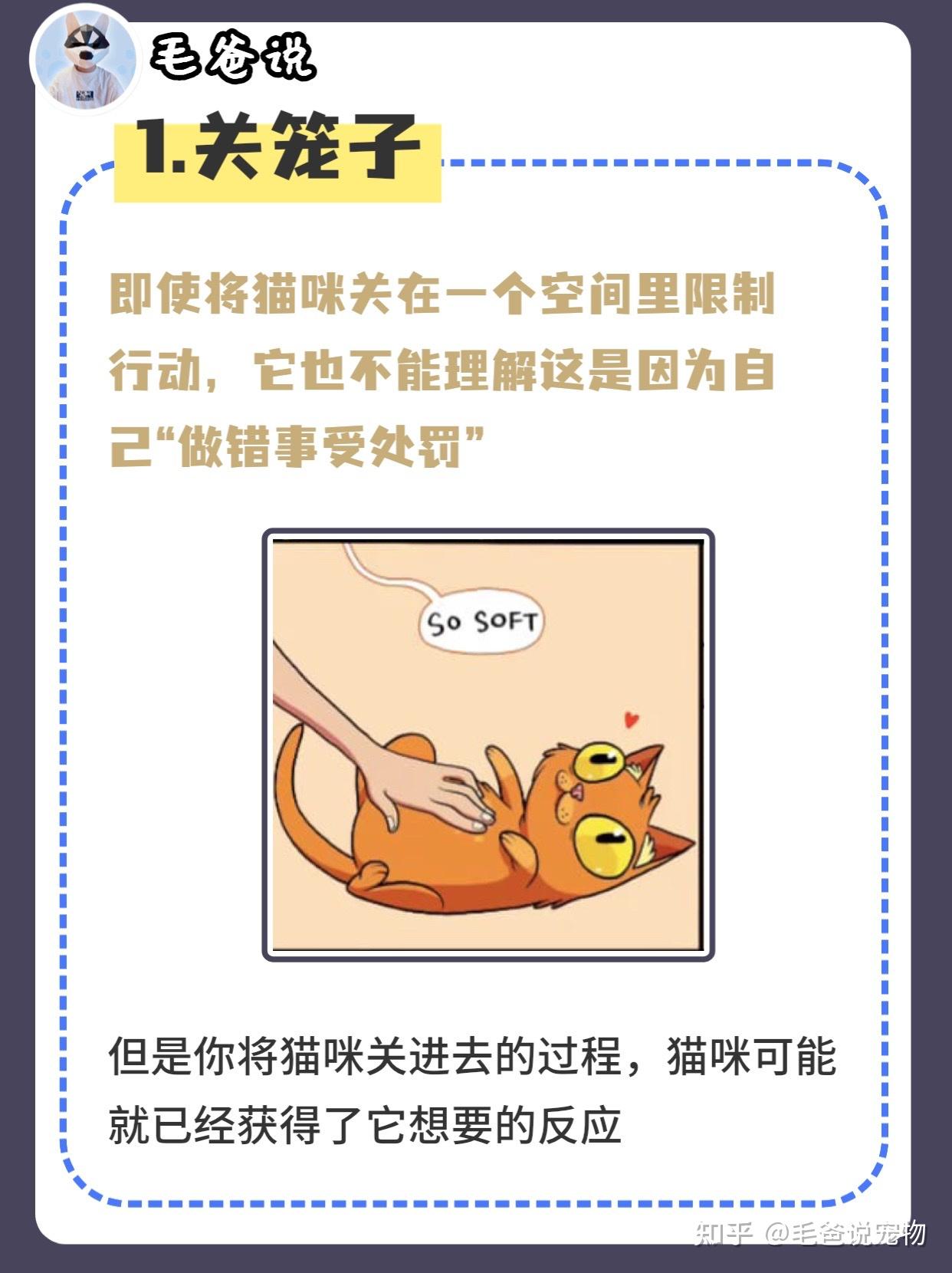 如果做这些动作，猫咪咬人会更上瘾? - 知乎