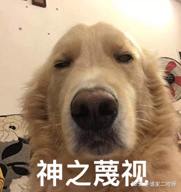 不喜欢王鸥的原因有什么