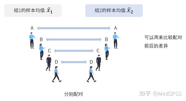 配对t检验:详解其原理、应用和统计分析 (配对t检验需要满足什么条件)