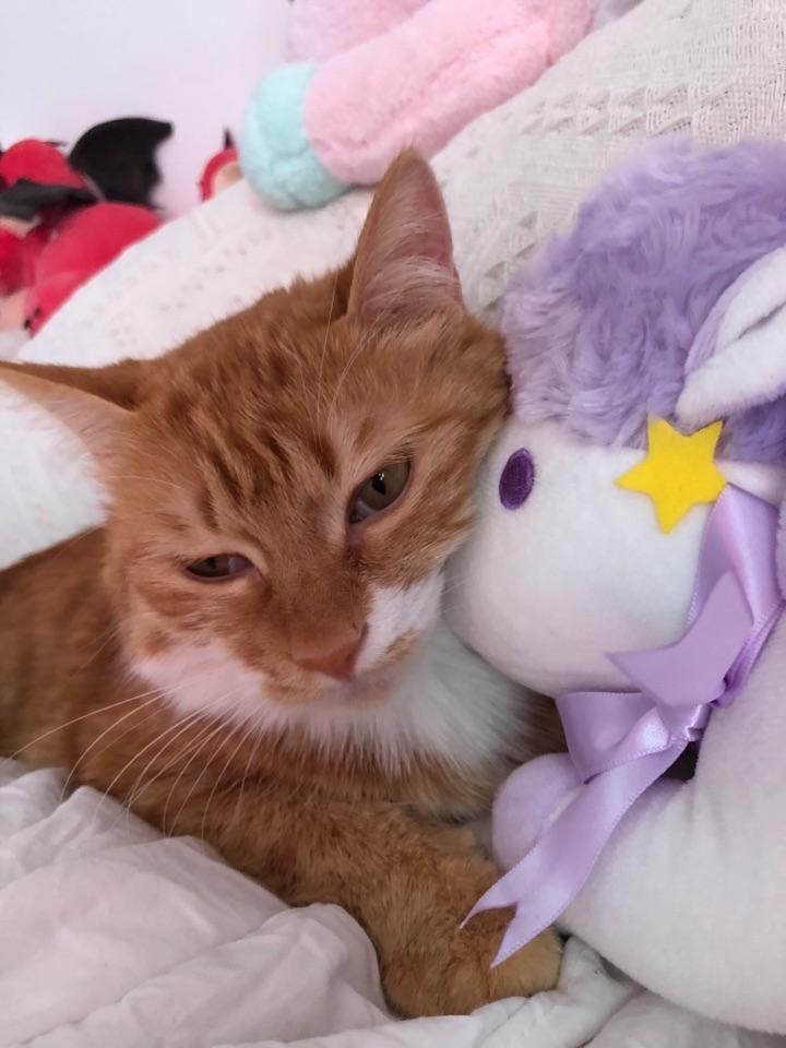 大家对饭量大的女生持什么看法?