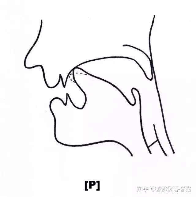 俄语大舌音图片