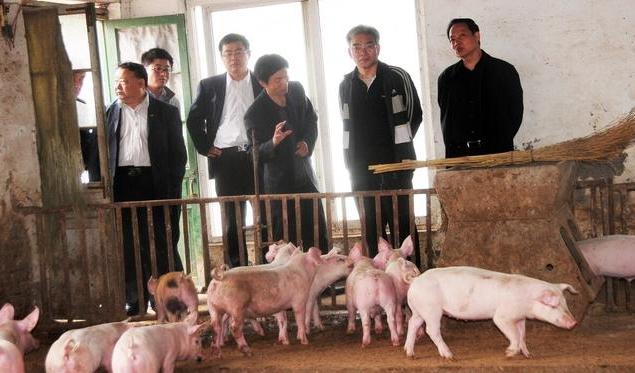 v2-ed0b924c5e26f94ac0198e6e94cb85da_1440w.jpg?source=172ae18b