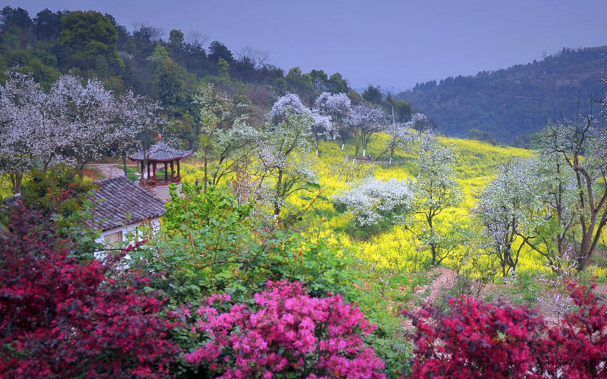 寨山坪森林公园图片