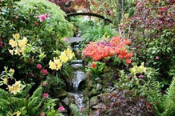 值得参考的庭院案例 英国四季花园 知乎