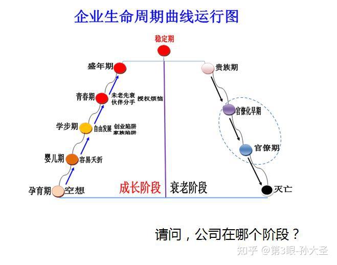 蒙台梭利生命线设计图图片