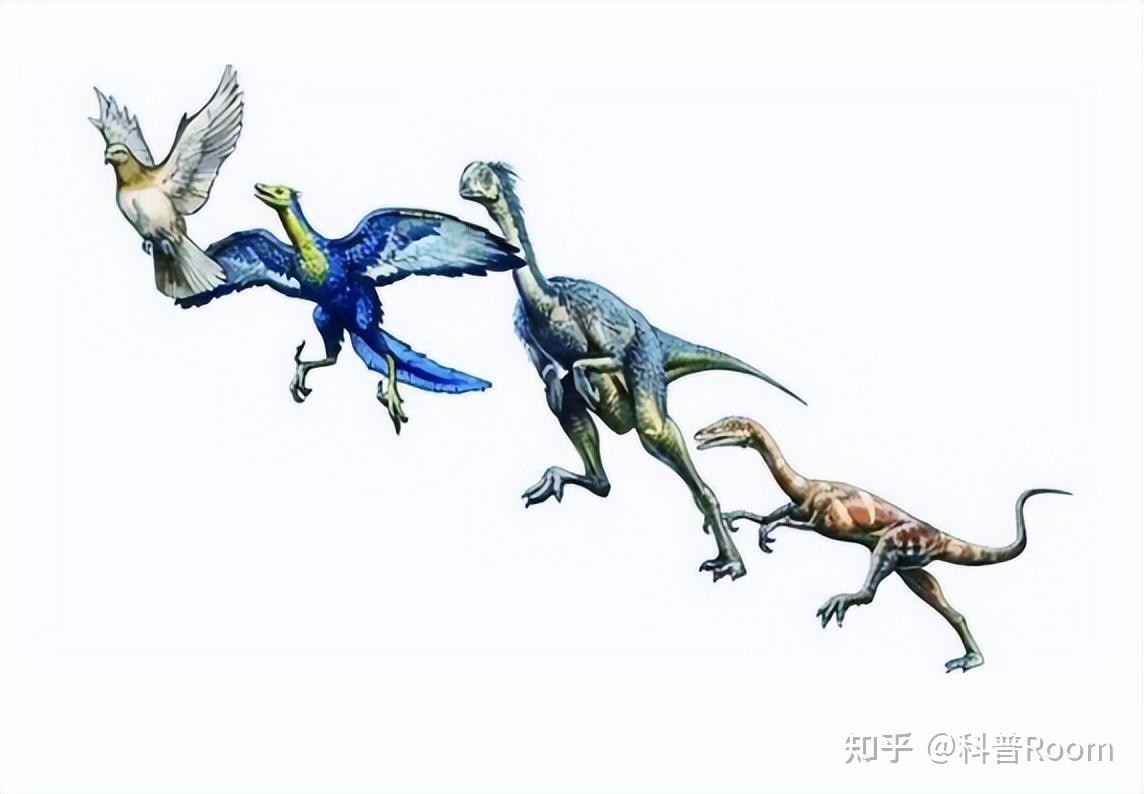 科学家实验用鸡复活恐龙,结果鸡长出恐龙脸,鸡真是恐龙的后裔?
