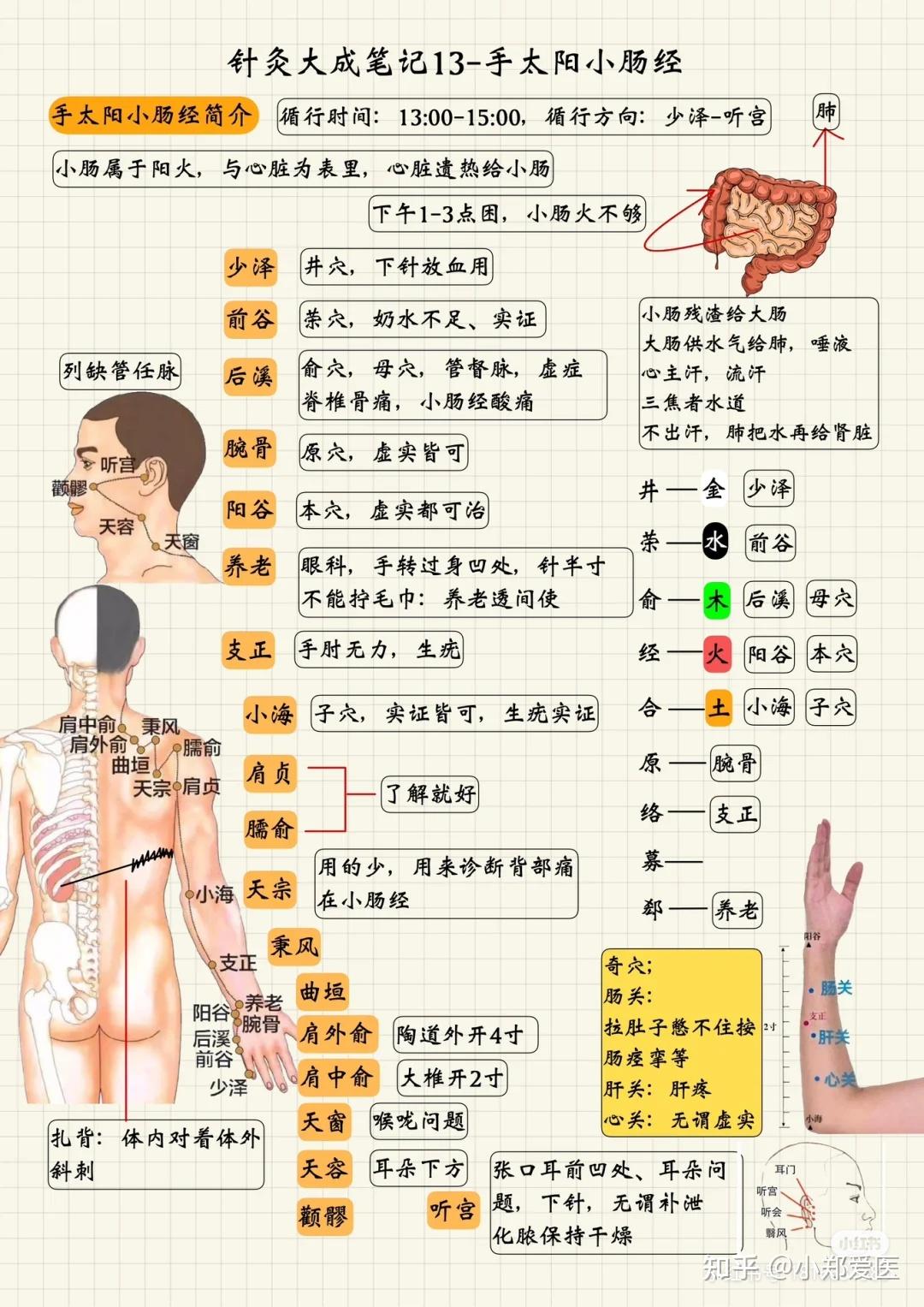 针灸大成手写笔记(借阅篇)推荐收藏 - 知乎