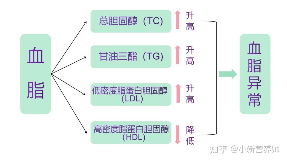 血脂四项,包括了总胆固醇(tc),甘油三酯(tg),高密度脂蛋白胆固醇(hdl)