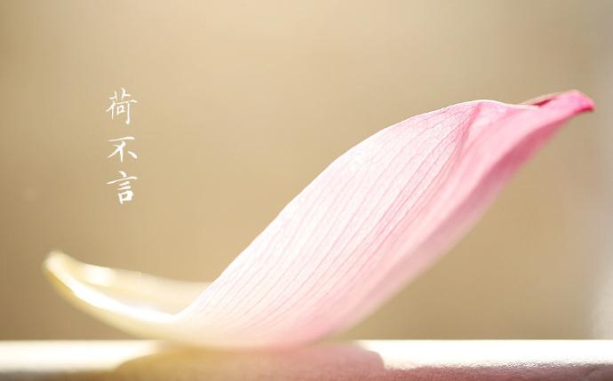 不要很多一件足够