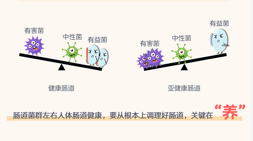 長期便秘會有什麼危害看完趕緊去養菌